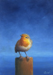 eigenwijze roodborst op paaltje  8.2 x 13.4 cm (verkocht)
